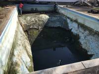 abramo-pool-renovation-01